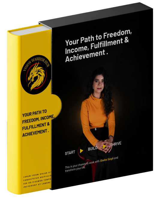 VisionWarriorHub E-book Cover